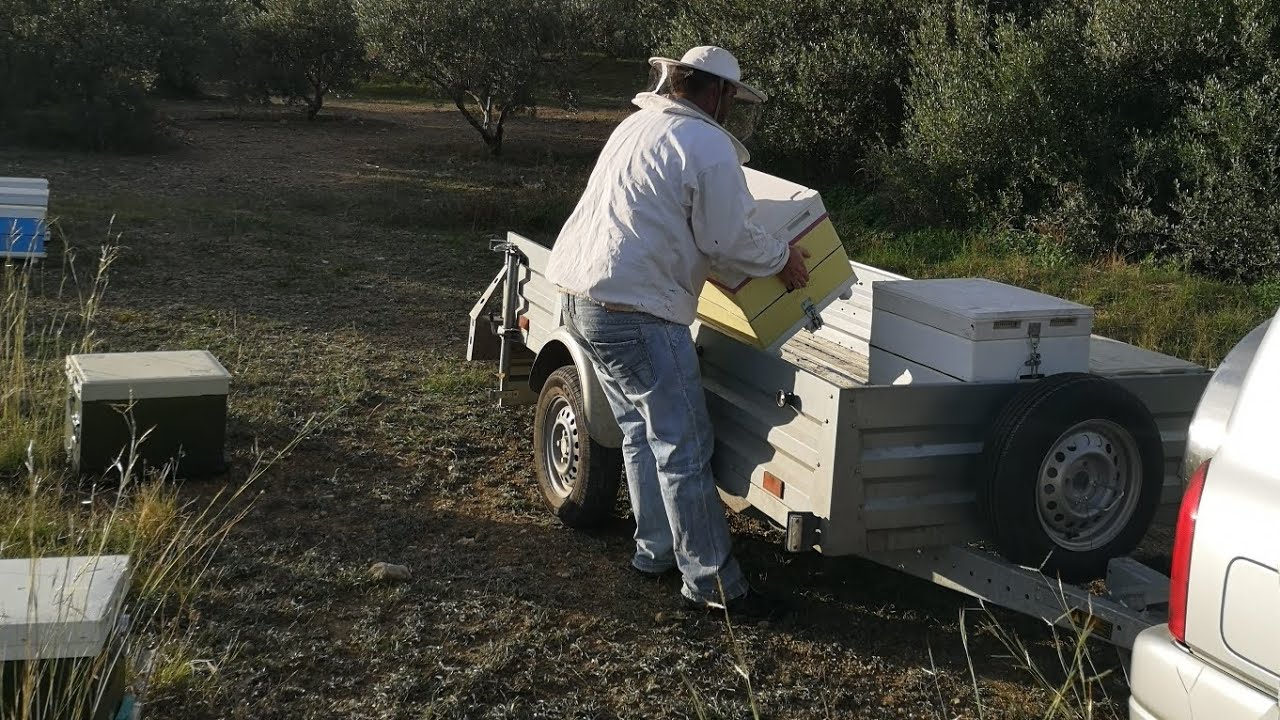 Μεταφορά μελισσιών όλη η διαδικασία 🐝