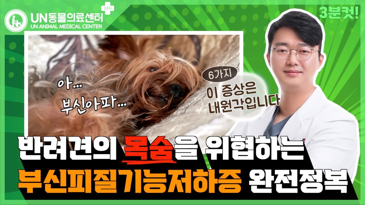 부신 피질 기능저하증 졸업에 걸리는 시간 단 3분