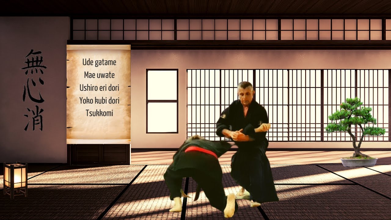 Mushin ryu Ju jitsu: Ude gatame ni, sur plusieurs opportunités