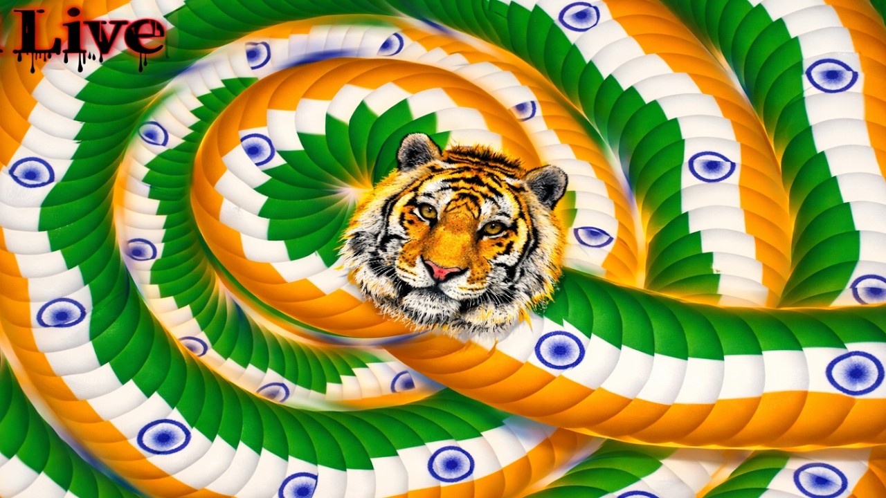 The Most Powerful Indian Loin Snake in Wormate.io !!! 🤯