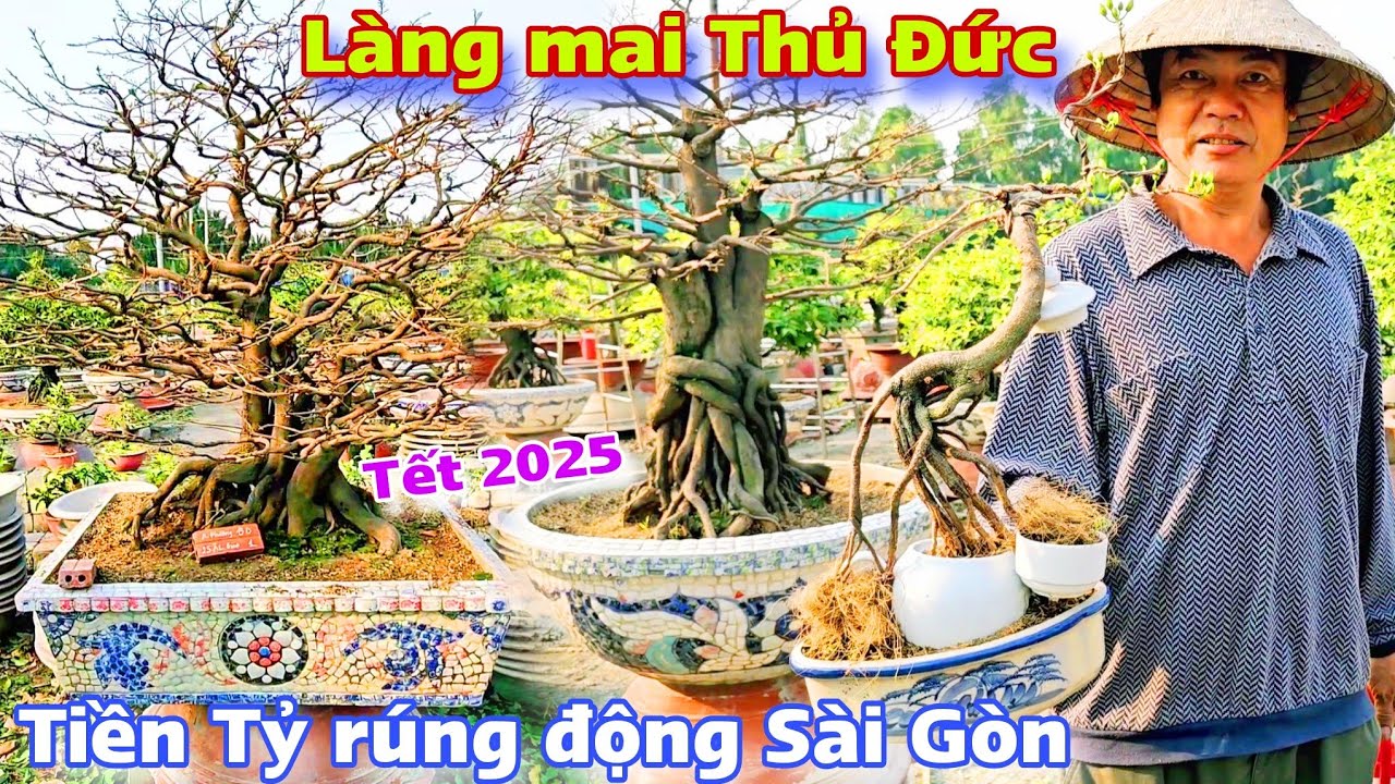 Làng Mai Thủ Đức Tết 2025 