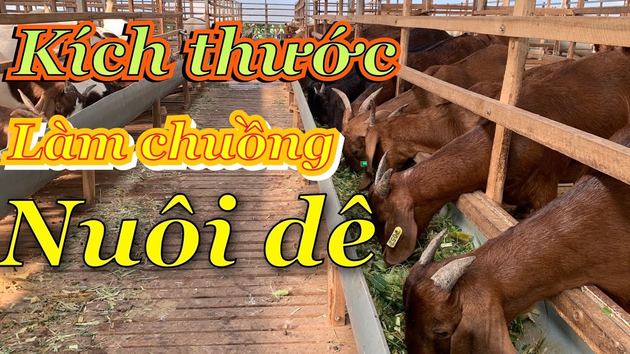 CHI TIẾT KÍCH THƯỚC LÀM CHUỒNG NUÔI DÊ