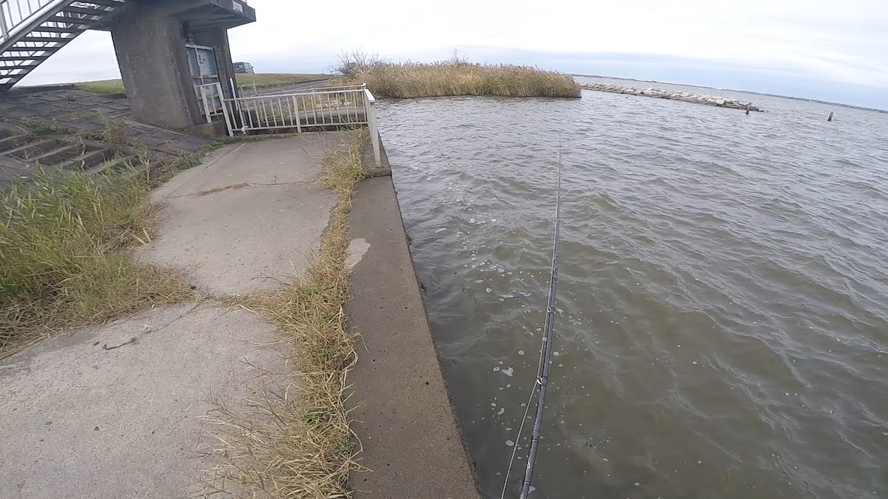 霞水系！外浪逆浦で人気が凄すぎた水門と石積みのストレッチで釣してみた！