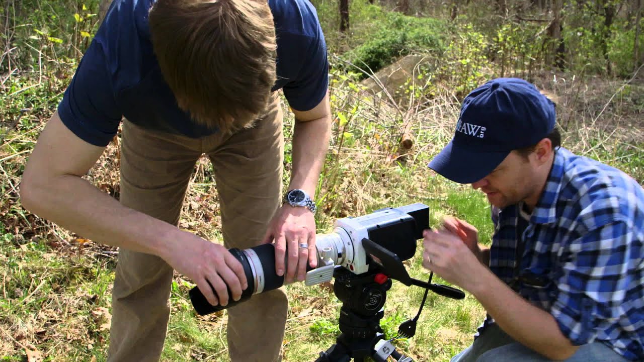 How to Catch a Tiger - Wildscreen Festival 2014 - Submission