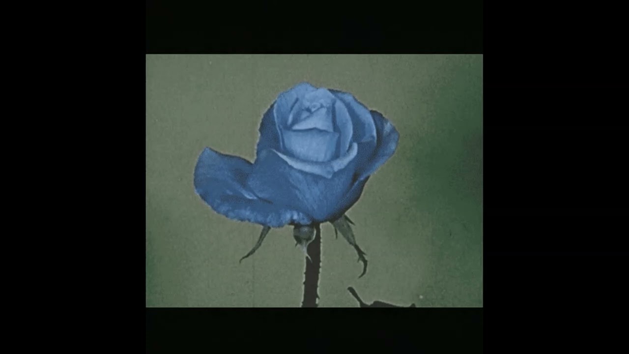 [FREE] bb jacques x luv resval x nes type beat ~ 
