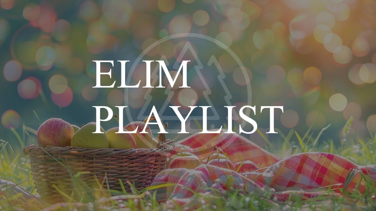 [𝐂𝐂𝐌 𝐏𝐥𝐚𝐲𝐥𝐢𝐬𝐭] 피크닉에 어울릴 수도(?) 있는 신나는 찬양 플레이리스트 | 엘플리 #30