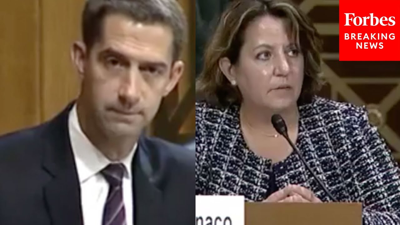 'Is It Domestic Extremism?': Tom Cotton Grills Deputy AG Over Controversial School Board Memo