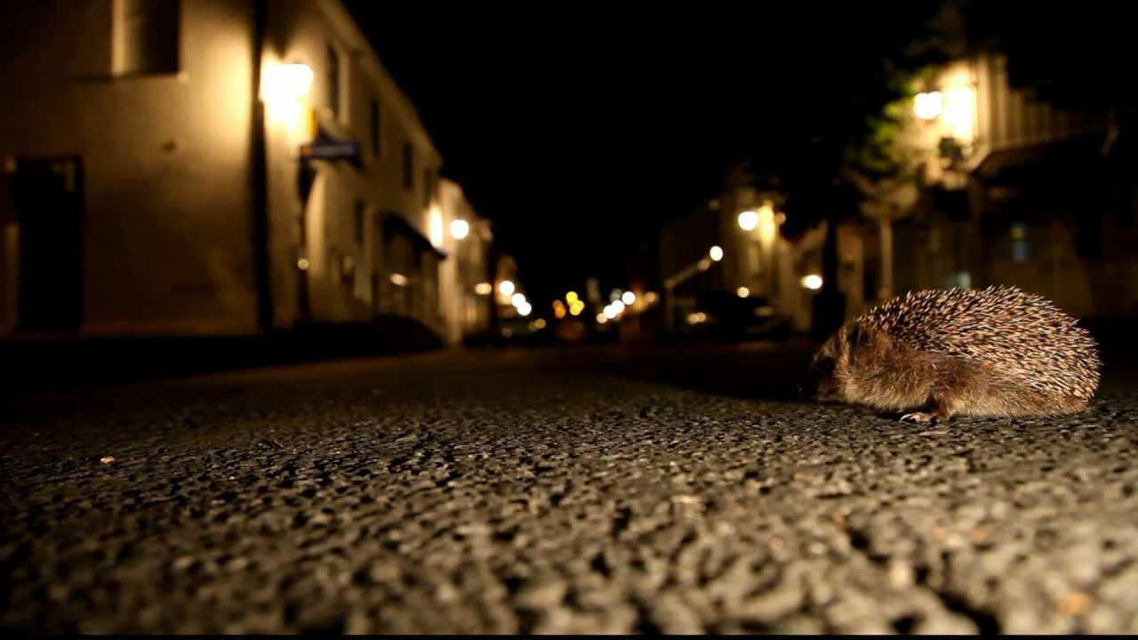 Hjem til Vestfossen