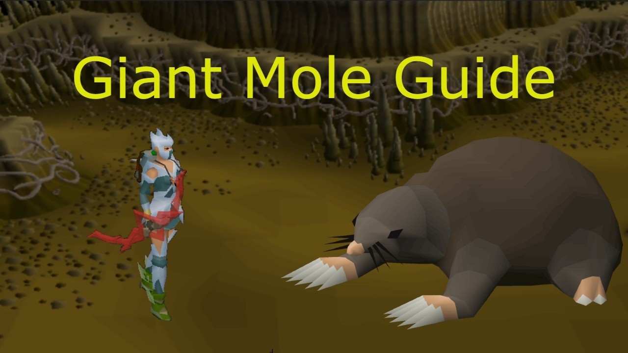 OSRS Giant Mole Guide