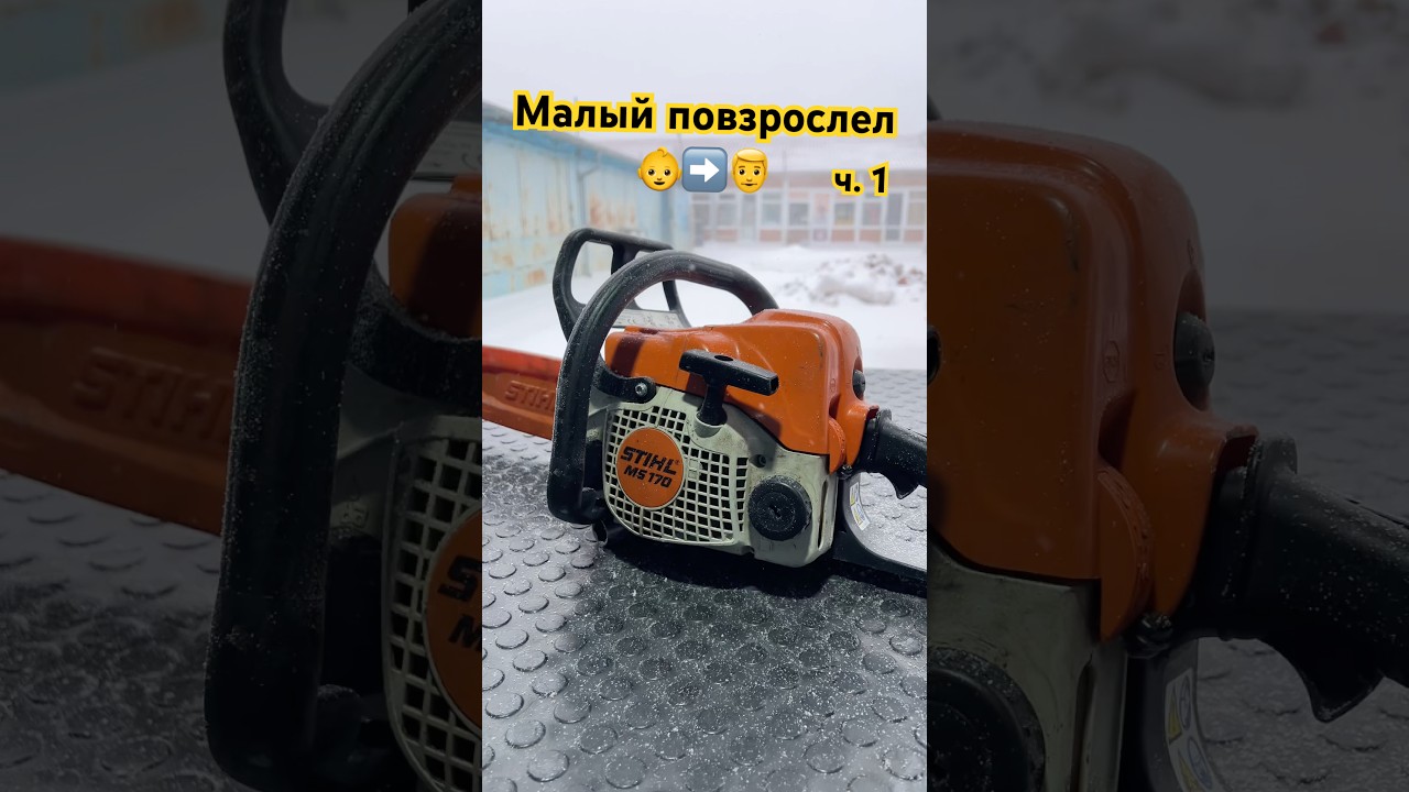 Ремонт Бензопилы Stihl MS 170/180 🪚 | Трудно заводится, не тянет 💨 #Бендеры #Тирасполь #ПМР