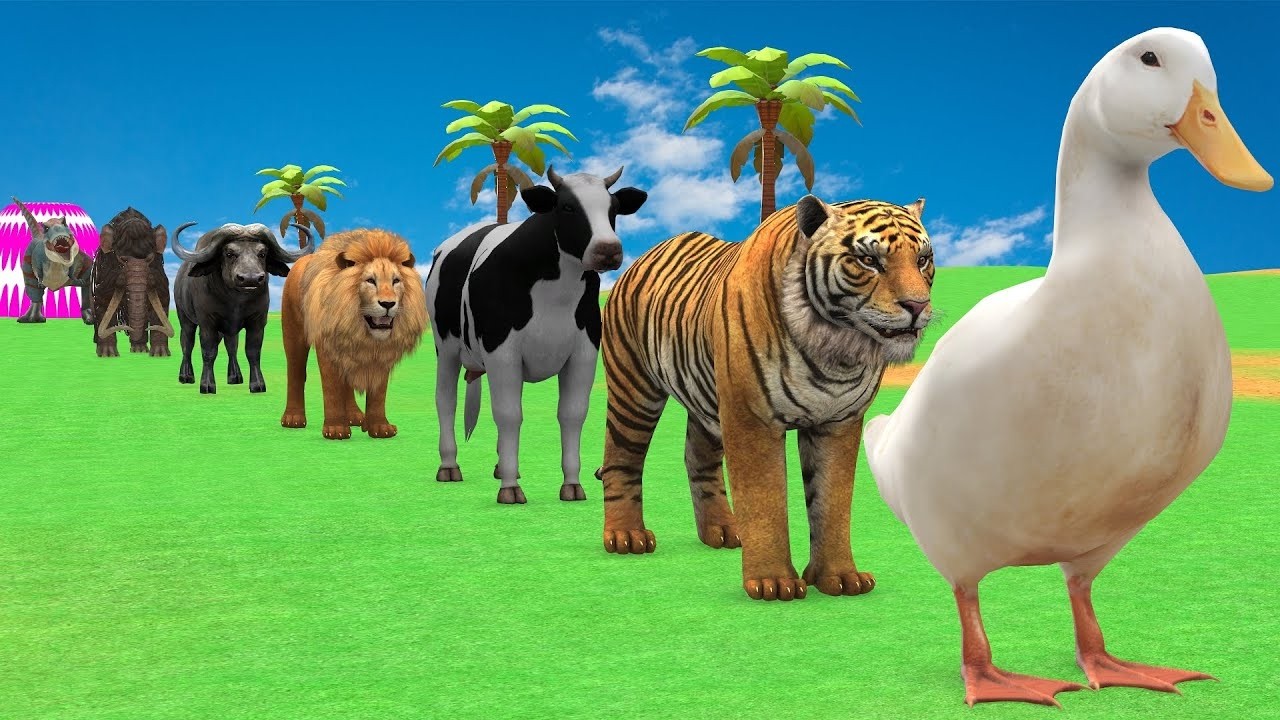 Long Slide Game With Elephant Gorilla Buffalo Hippopotamus Tiger - 3d Animal Game - Funny 3d Animals