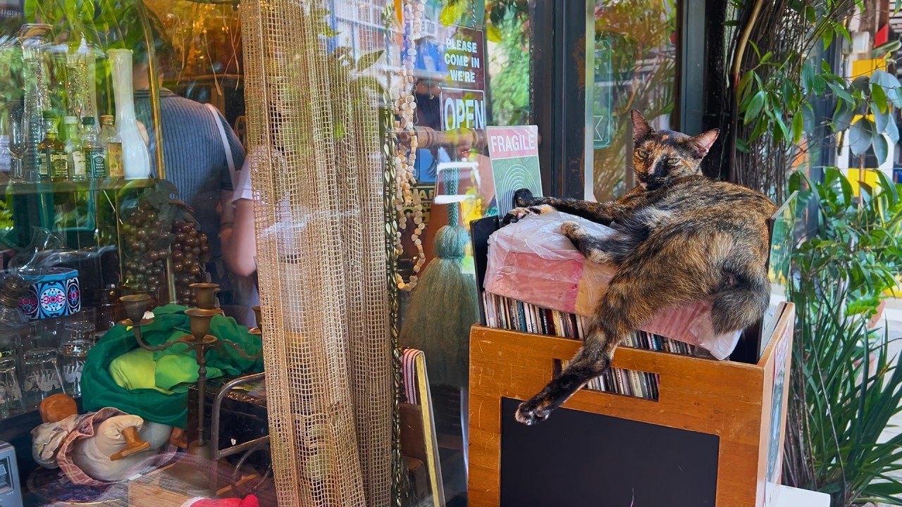 Vinyl, Antiques & Coffee at Cubao Expo | Quezon City's Retro Underground
