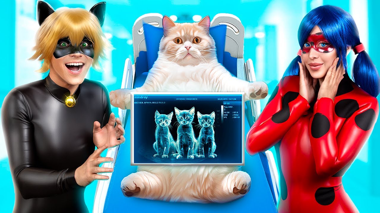 Леди Баг спасла беременную кошку! Леди Баг против Супер-кота!