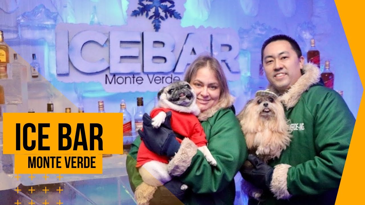 Ice Bar Monte Verde com o Lucky e a Peppa #icebar #monteverde #perfriendly