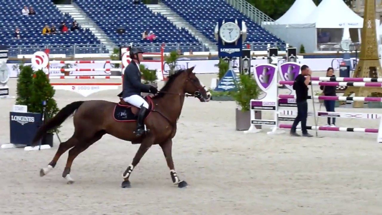 Patrice Delaveau, Aquila HDC, Paris Eiffel Jumping 2017 (145)