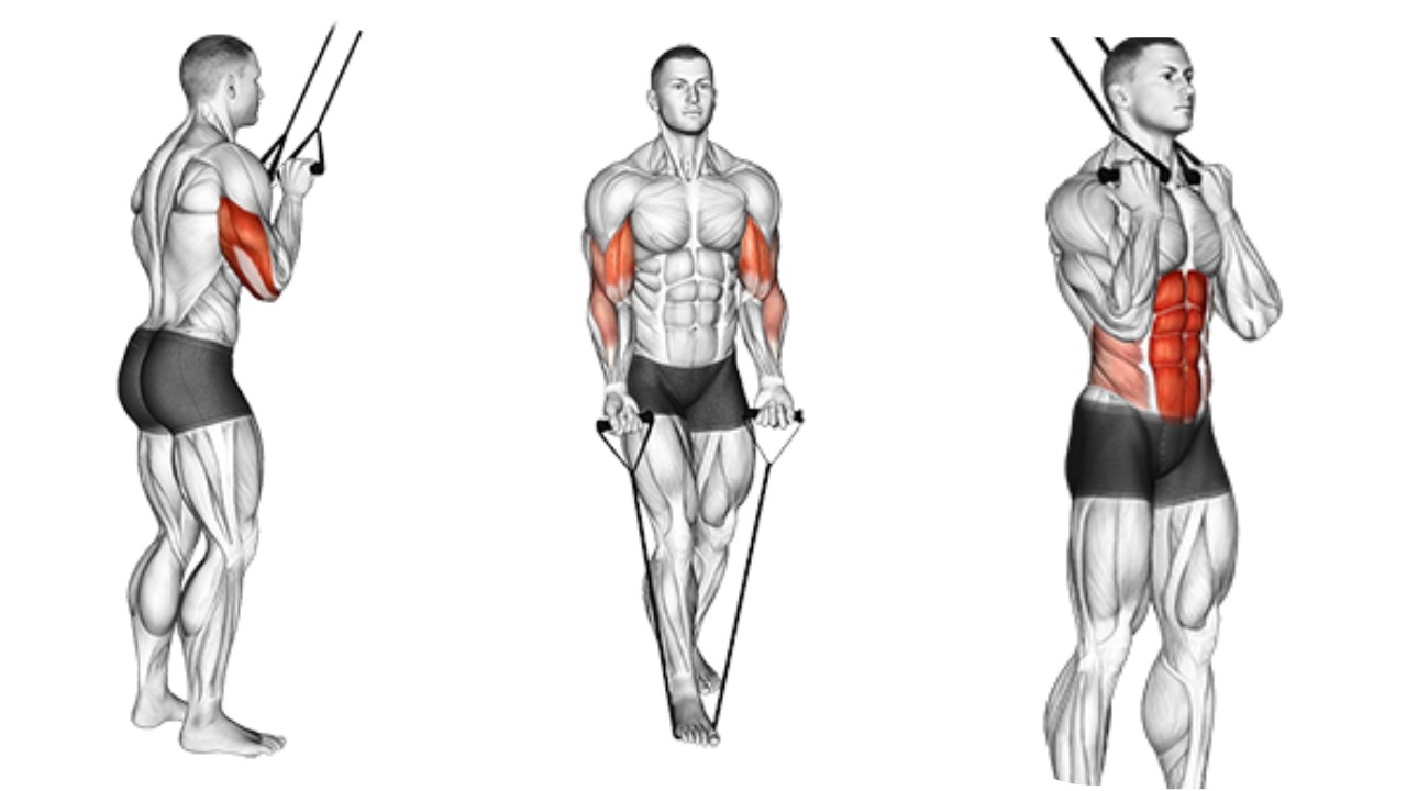 EASY & EFFECTIVE BAND WORKOUT AT HOME #fitness #bandworkout #workout