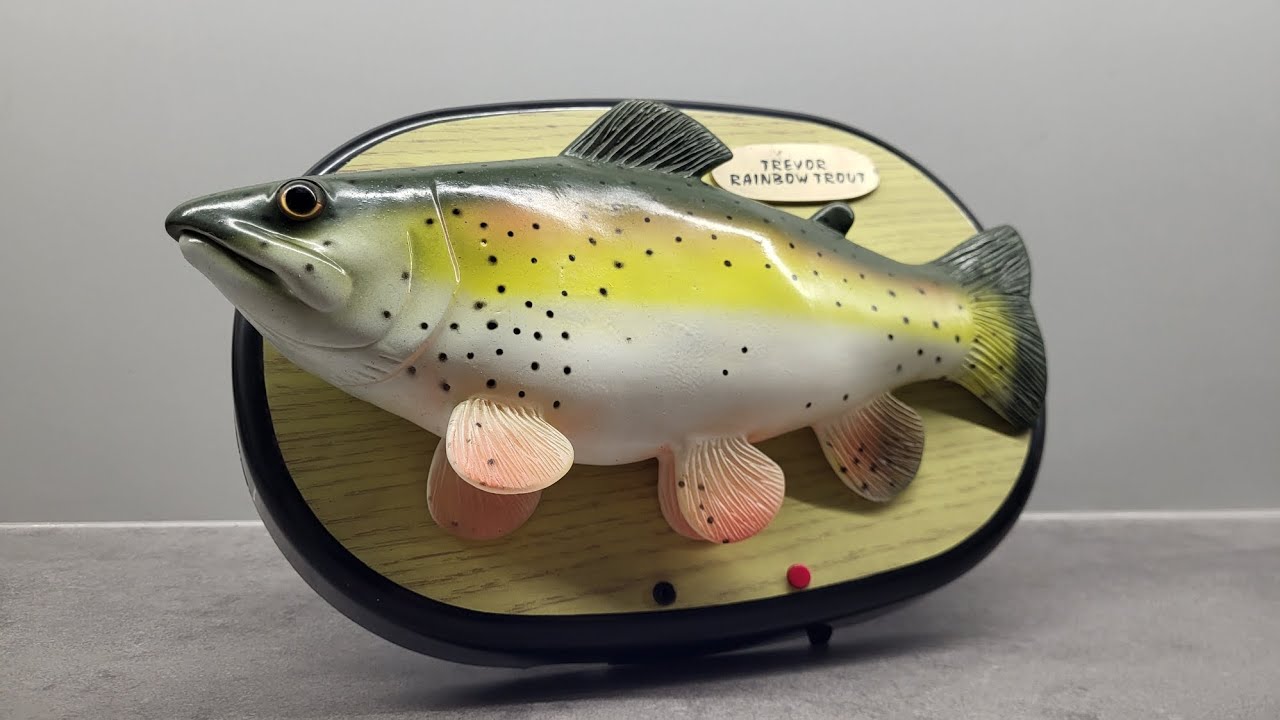 Trevor Rainbow Trout (after repairs)