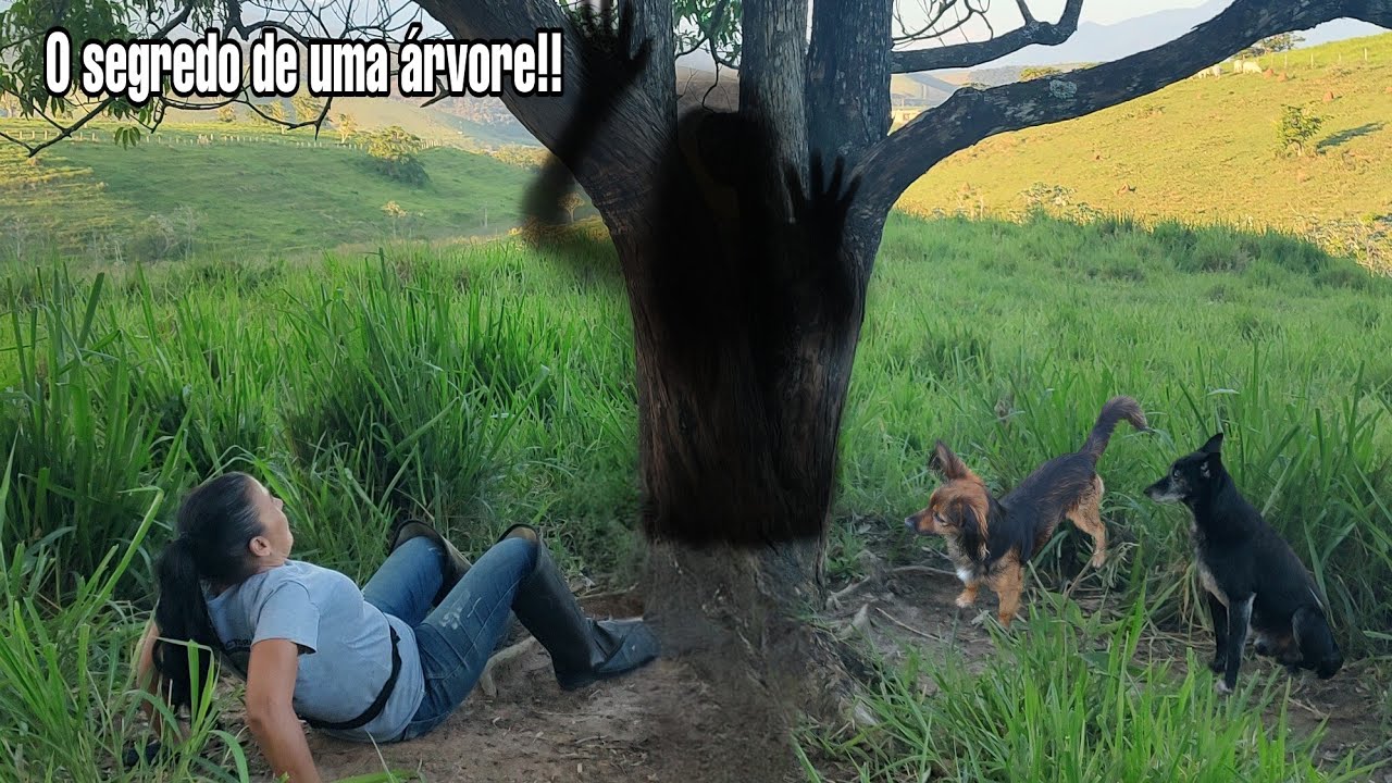 Ela engravidou misteriosamente!😱