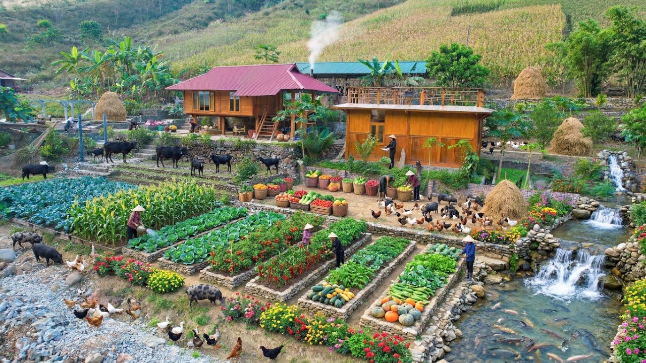 Too Many Animals, Massive Harvests & a Beautiful Farm House&hellip; This Homestead Is Unreal