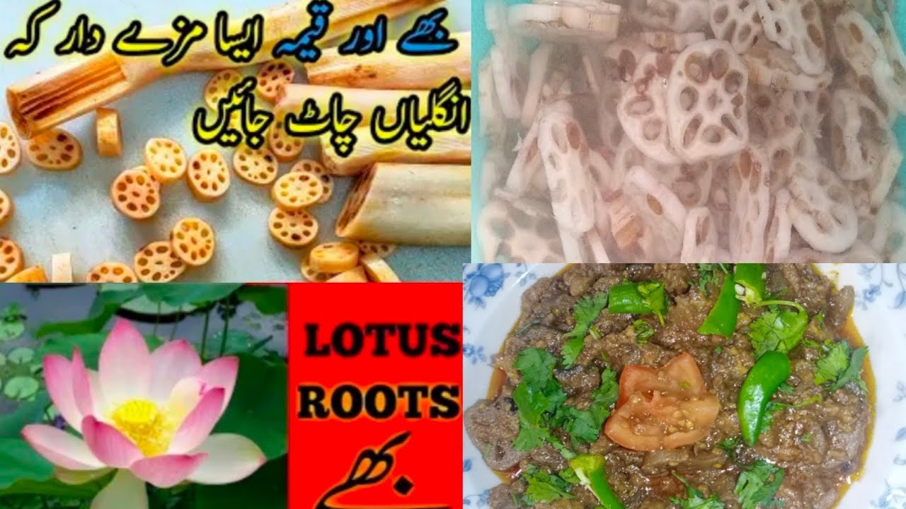 Sindhi Beh Qeema(Lotus Root) Recipe by home cooking show