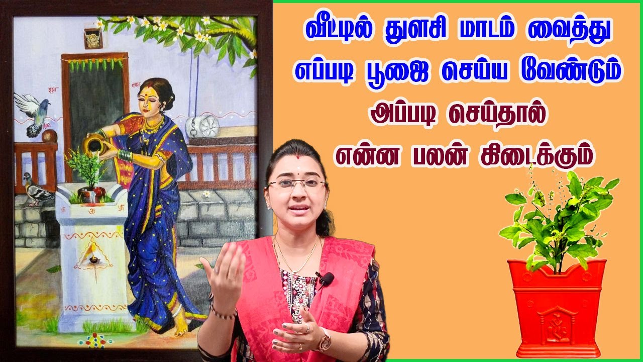 வீட்டில் துளசி மாடம் வைத்து எப்படி பூஜை செய்ய வேண்டும் மற்றும் பலன்கள் ||Sai shankara Channel