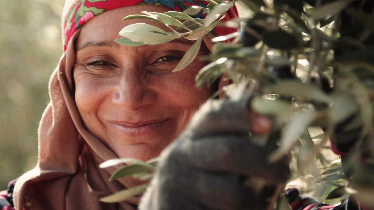 The story of Tunisia Extra Virgin Olive Oil: Presenting OLYFO to the world
