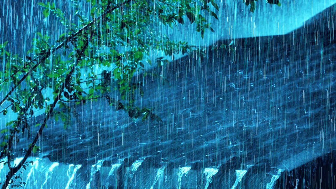 Мгновенный Глубокий Сон Под Проливным Дождем По Металлической Крыше И Ночной Грозой В Тропическом Ле