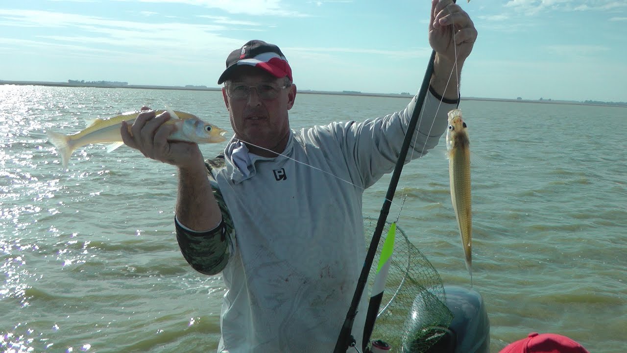 EXPLOTA DE PEJERREYES SAUCE GRANDE!! PASION POR LA PESCA