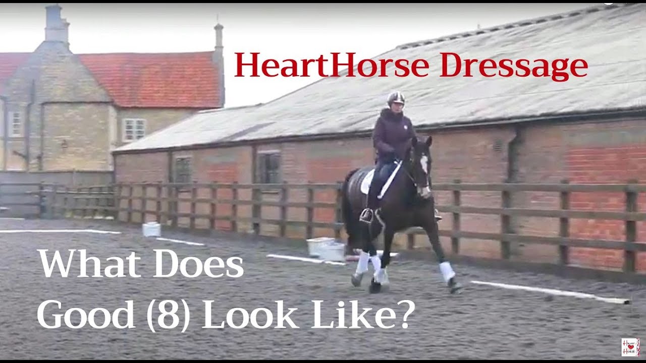 What does Good (8) Look Like? Get a British Dressage judge's perspective!
