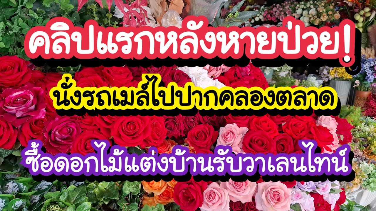 คลิปแรกหลังหายป่วย! นั่งรถเมล์ไปปากคลองตลาด ซื้อดอกไม้แต่งบ้านรับวาเลนไทน์🌹Bangkok Travel Vlog 