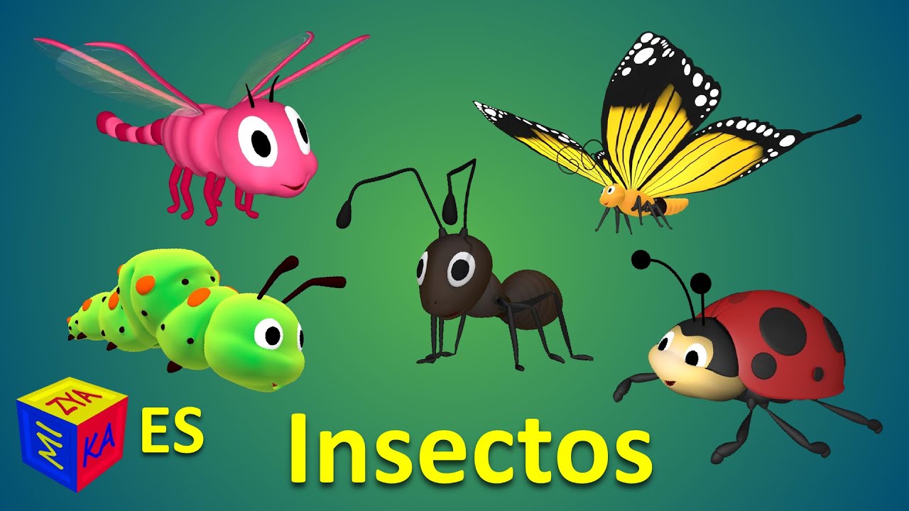Aprendemos los insectos y escuchamos sus sonidos. Dibujo animado para niños en español.
