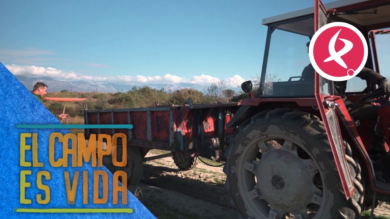 Guille estrena remolque nuevo | El campo es vida