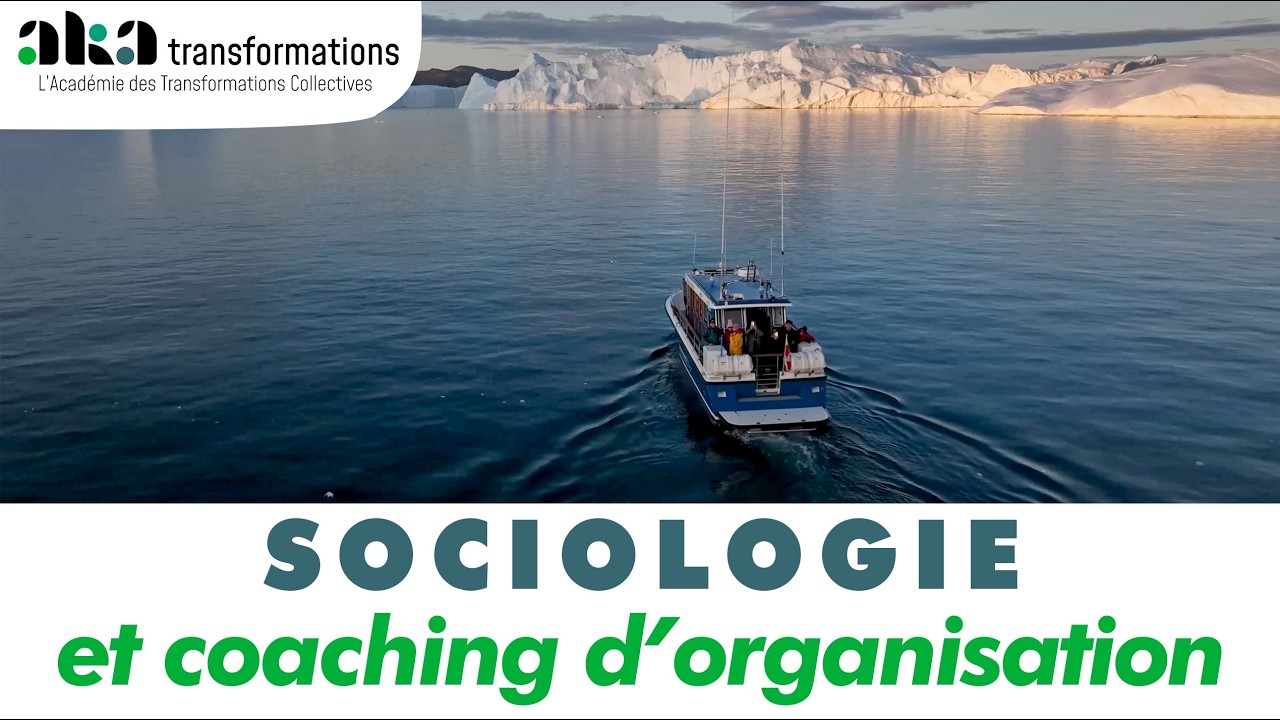 Sociologie et coaching d'organisation