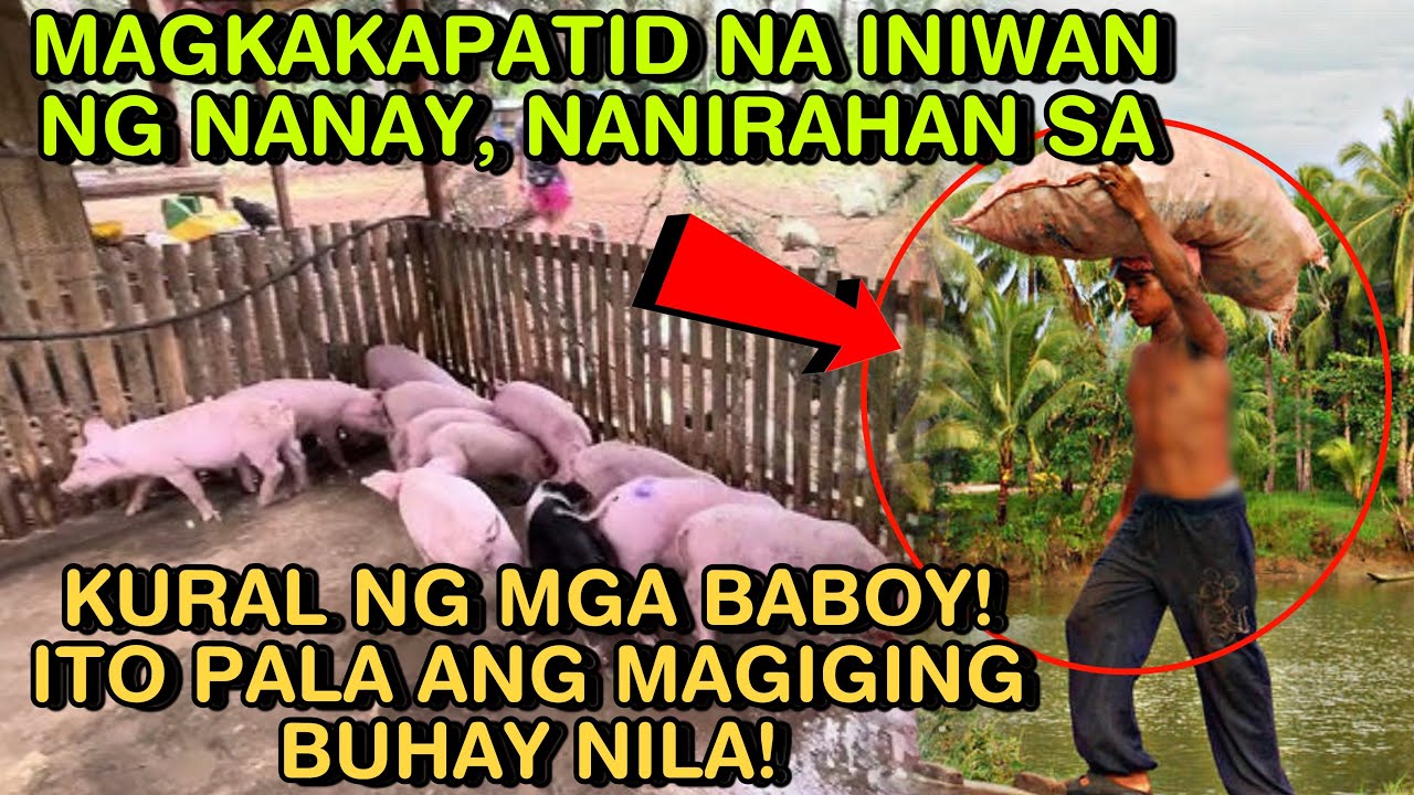 MAGKAKAPATID NA INIWAN NG NANAY, NANIRAHAN SA KURAL NG MGA BABOY! ITO PALA ANG MAGIGING BUHAY NILA!