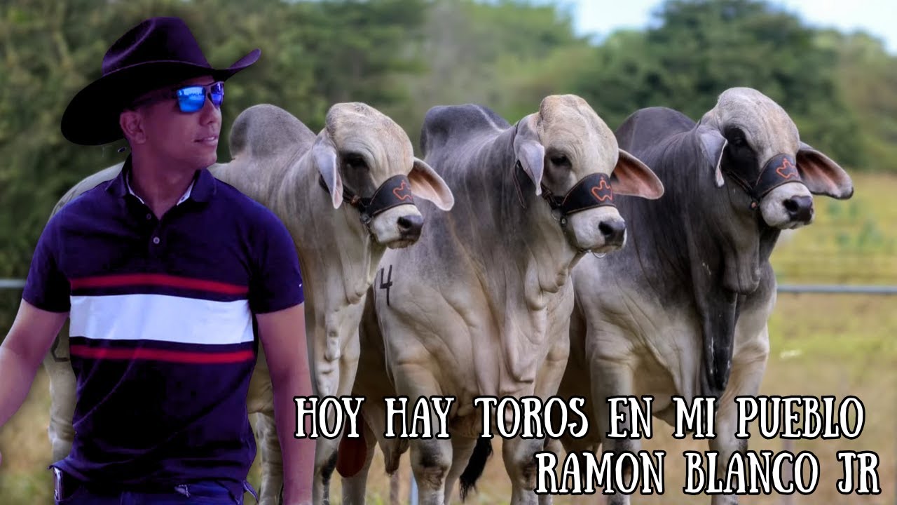 Ramon Blanco Jr  - Hoy Hay Toros En Mi Pueblo (Video Audio Oficial)