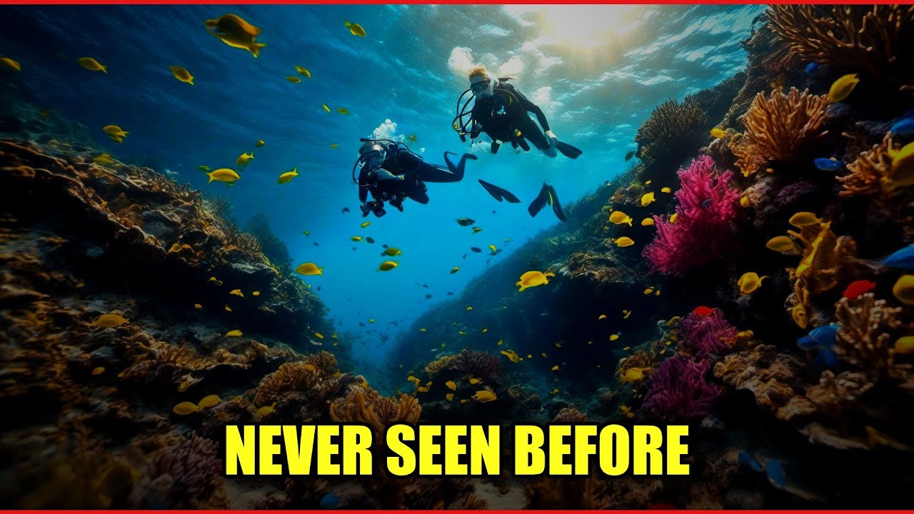 The Forgotten Depths: Secrets of Ocean Trenches Uncovered