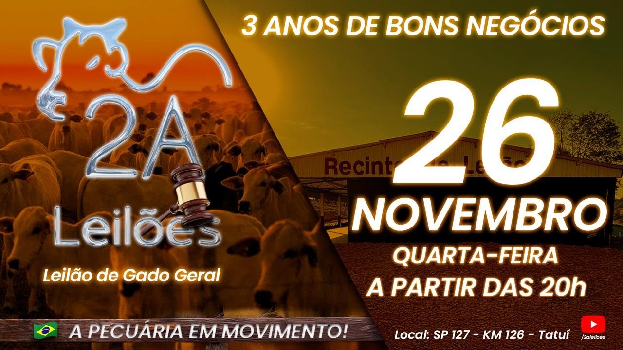 Leilão Virtual 2A LEILÕES - Credibilidade e Qualidade - 26/11/2025