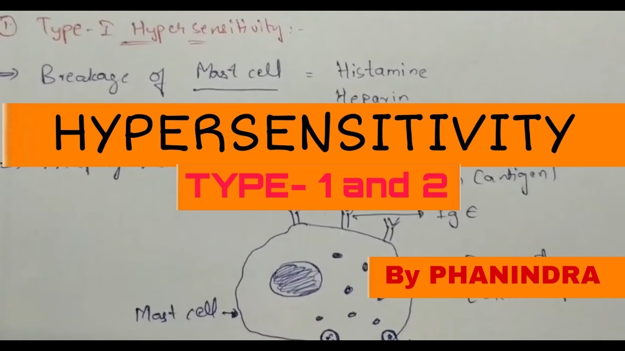 Hypersensitivity || Type - 1 and Type -2