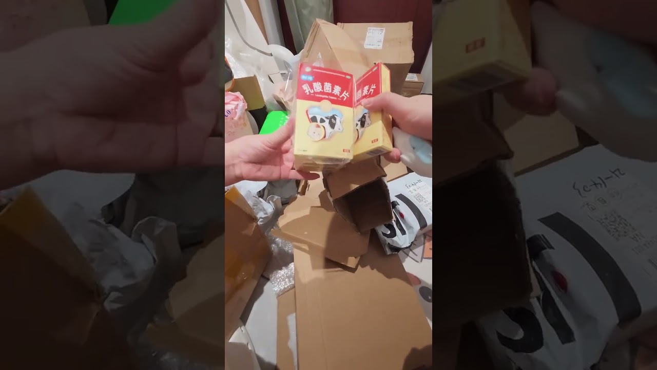 Last Unboxing from a Year Ago: Daily Life in a Cat House with a German Curly-Haired Cat