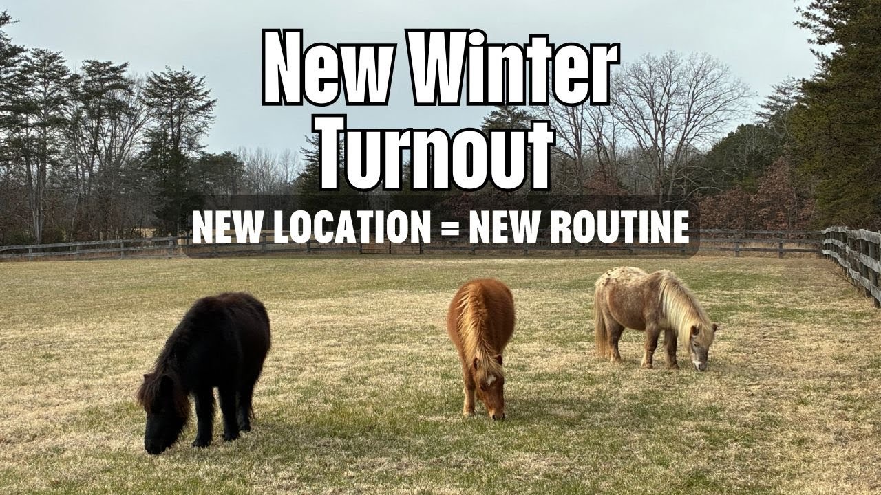 Navigating Our New Winter Turnout