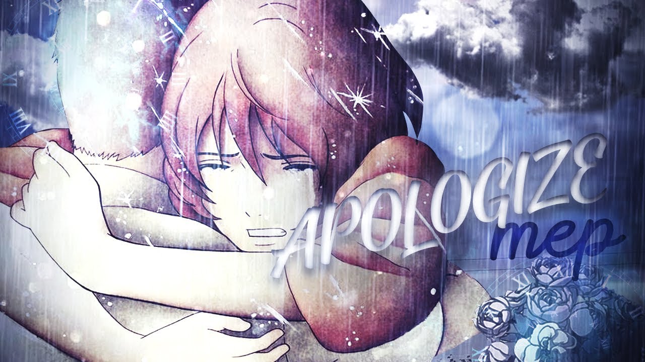 APOLOGIZE MEP