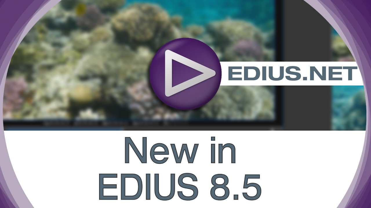 EDIUS.NET подкаст - новые возможности в EDIUS 8.5