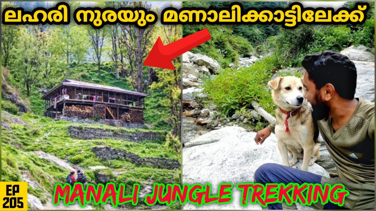 ലഹരി നുരയും മണാലിക്കാട്ടിലേക്ക് EP 205 | Hadimba Temple | Jungle Trekking | Manali Village Malayalam