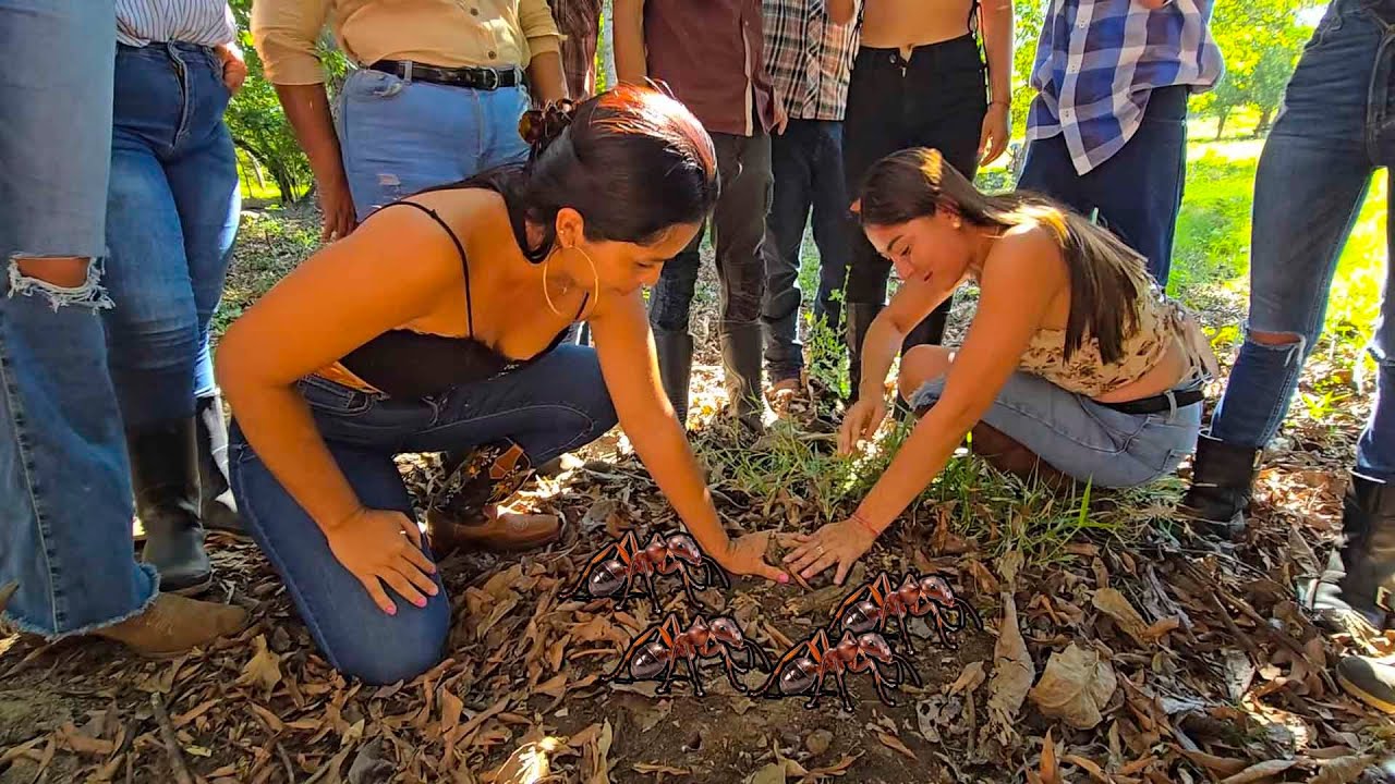 El capricho de estas chicas es único😱.