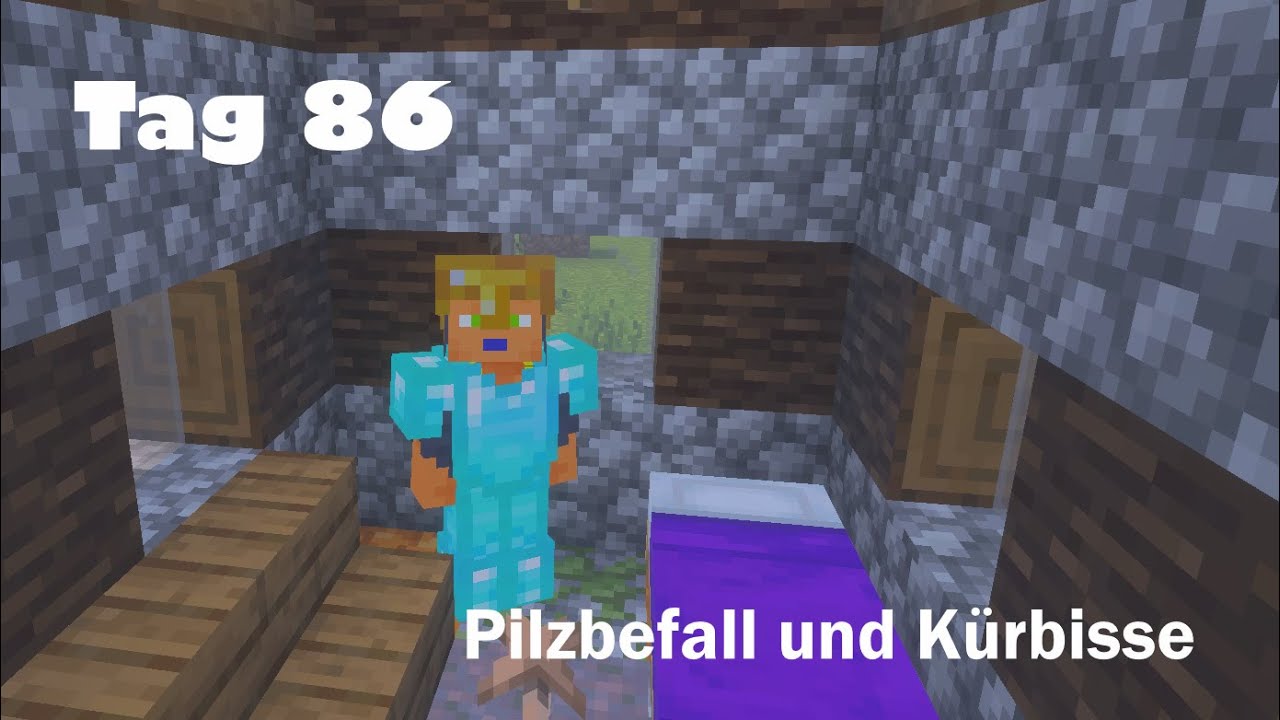 100 Tage Minecraft spielen   Tag 86   Pilzebefall und Kürbisse