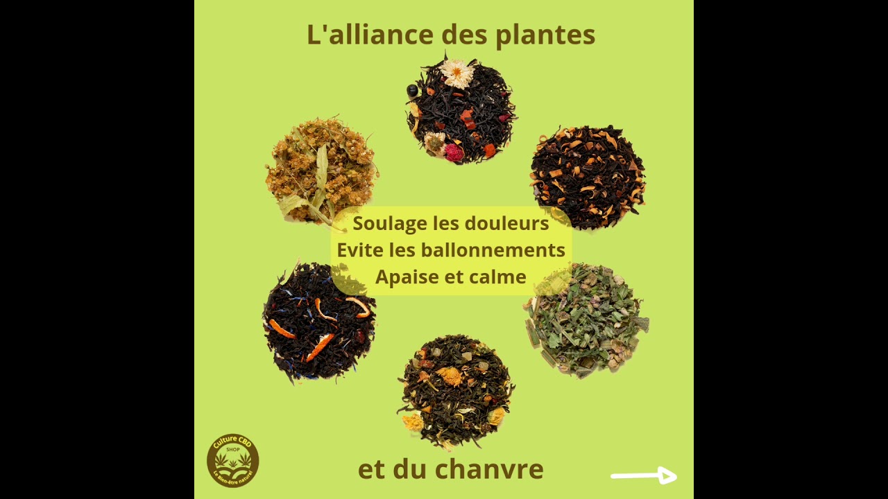 une infusion bio m&eacute;lange de plantes m&eacute;dicinales au service de votre bien-&ecirc;tre