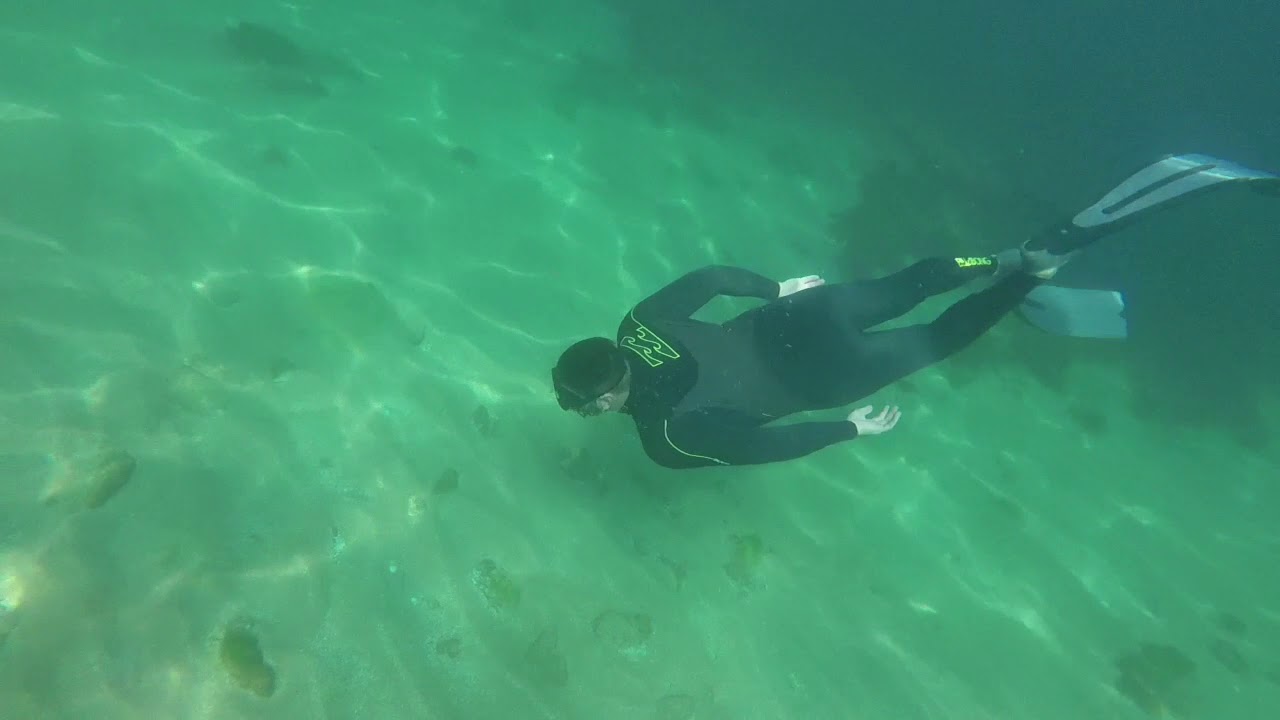 Snorkelling /spearfishing at south Milton (a lot of fish)!!!!