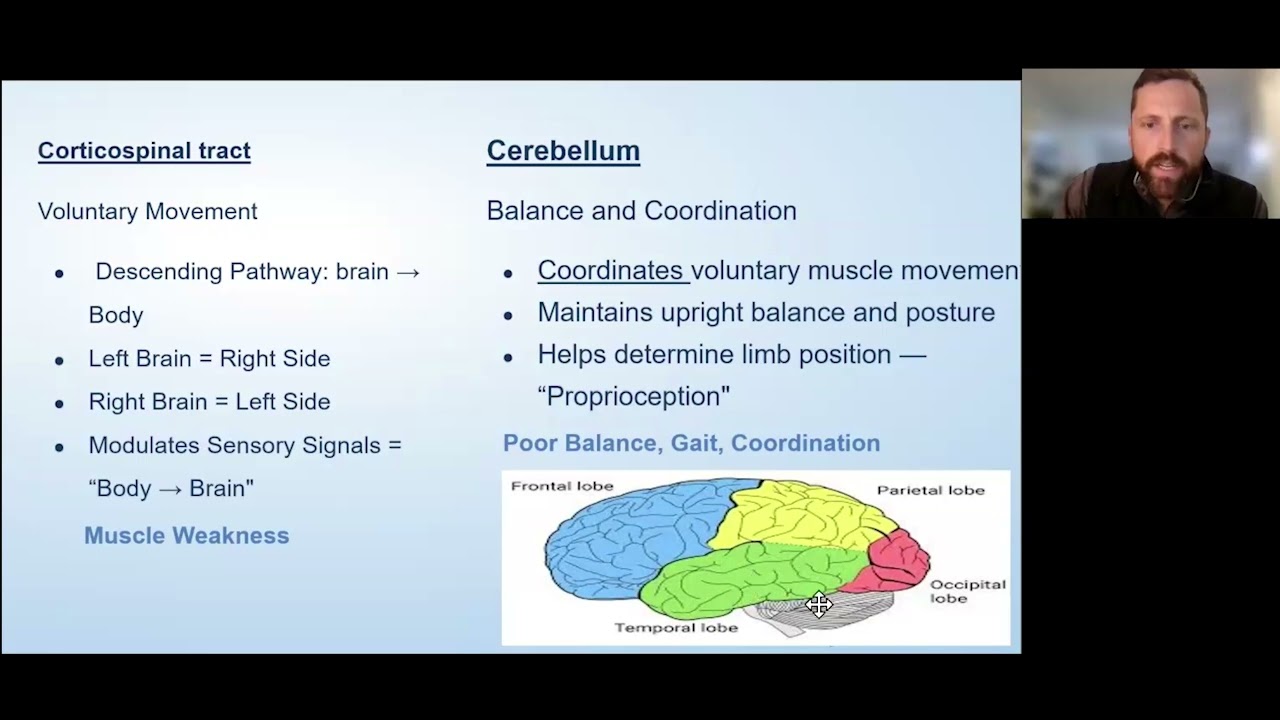 Virtual Education Session: Balance and Coordination with MS