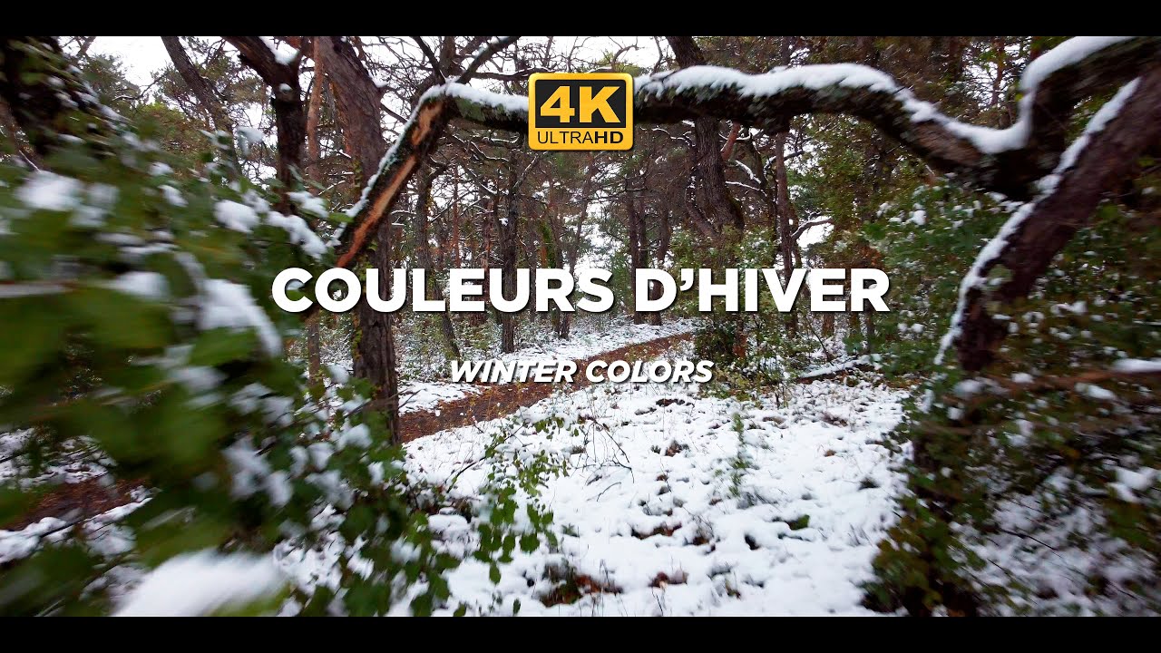 Couleurs d'Hiver / Winter Colors in Provence [4K]