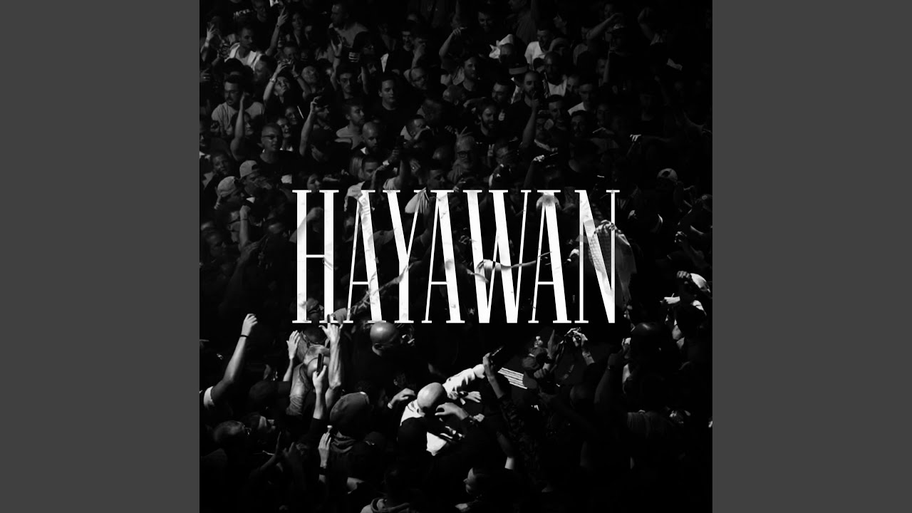 HAYAWAN